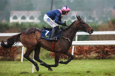 novices hurdle odds
